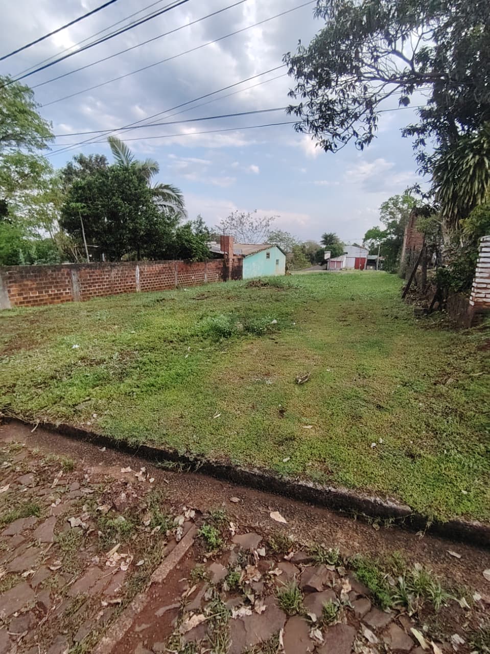 WhatsApp Image 2025-12-29 at 13.01.04